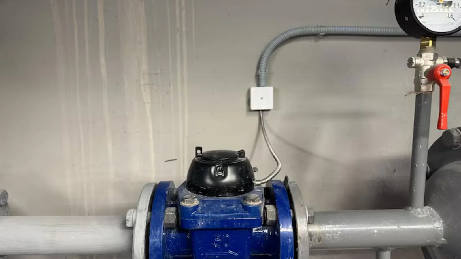 Backflow preventer device with pressure gauges on an exterior wall